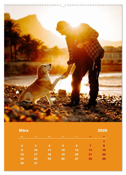 Du und ich - Dreamteamfotografie - Mensch und Hund (CALVENDO Wandkalender 2026)