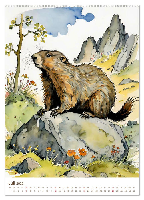 Das Alpenmurmeltier (CALVENDO Premium Wandkalender 2026)