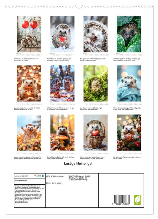 Lustige kleine Igel (CALVENDO Premium Wandkalender 2026)