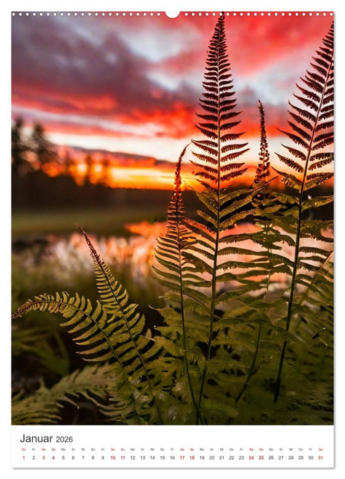Romantische Naturträume (CALVENDO Wandkalender 2026)