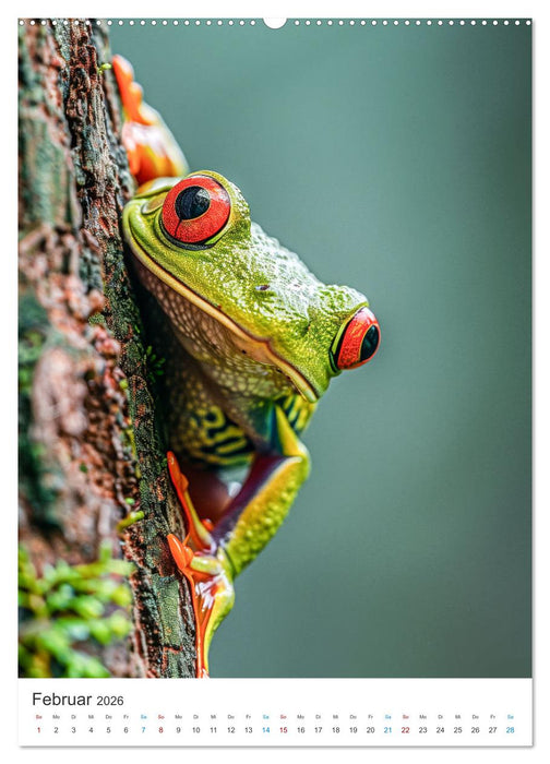 Lustige Frösche (CALVENDO Wandkalender 2026)