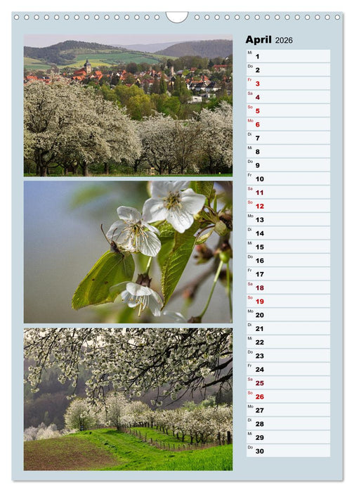 Harmonie der Farben in Landschaft und Natur (CALVENDO Wandkalender 2026)