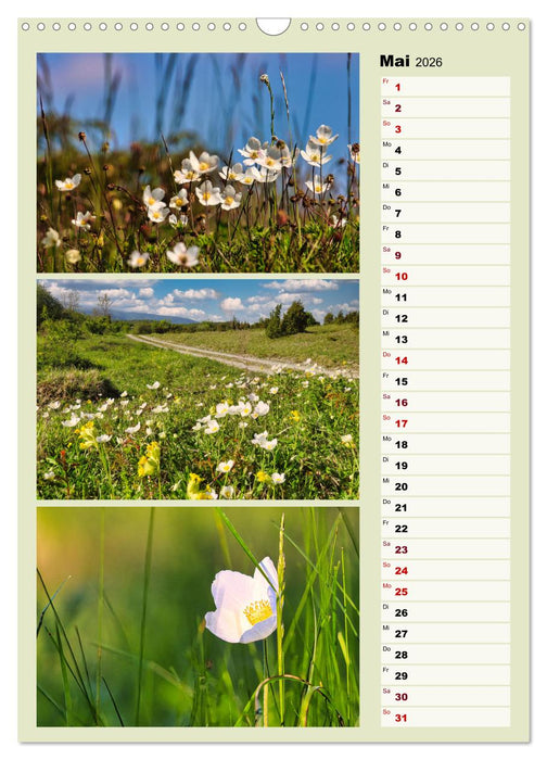 Harmonie der Farben in Landschaft und Natur (CALVENDO Wandkalender 2026)