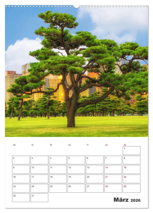 Tokio - Reiseplaner (CALVENDO Wandkalender 2026)