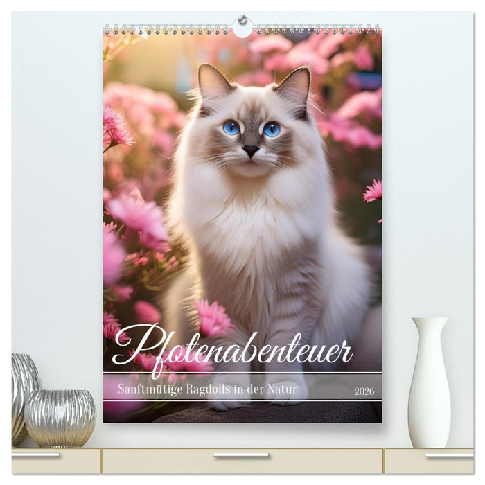 Pfotenabenteuer - Ragdolls in der Natur (CALVENDO Premium Wandkalender 2026)