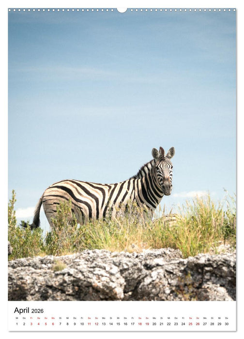 Naturparadies Namibia (CALVENDO Wandkalender 2026)