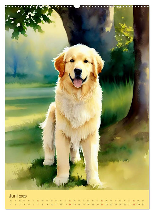 Golden Retriever. Kunstvolle Porträts des beliebten Hundes (CALVENDO Wandkalender 2026)
