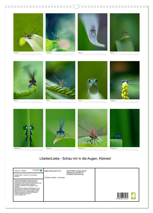 LibellenLiebe - Schau mir in die Augen, Kleines! (CALVENDO Wandkalender 2026)
