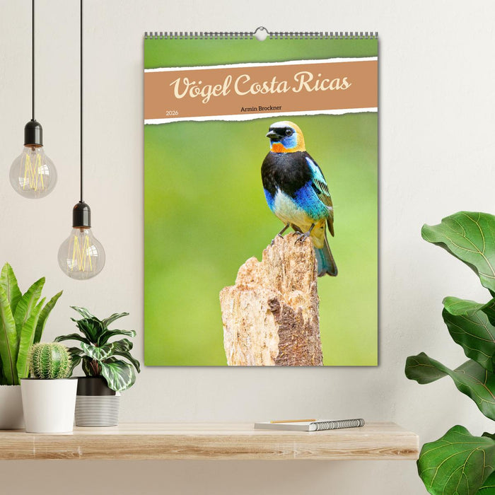 Vögel Costa Ricas (CALVENDO Wandkalender 2026)