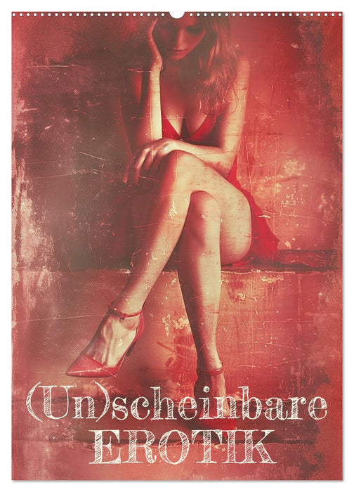 (Un)scheinbare Erotik (CALVENDO Wandkalender 2026)