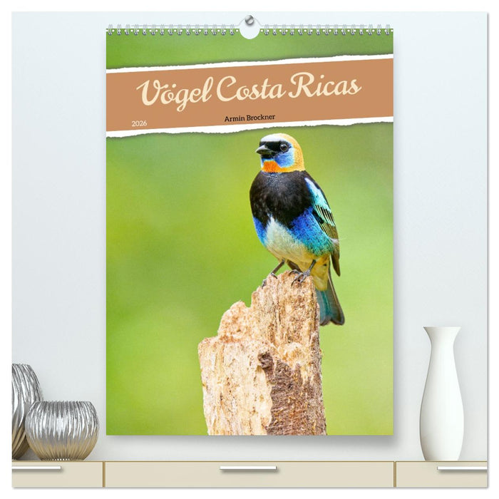 Vögel Costa Ricas (CALVENDO Premium Wandkalender 2026)