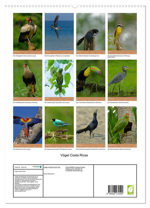 Vögel Costa Ricas (CALVENDO Premium Wandkalender 2026)
