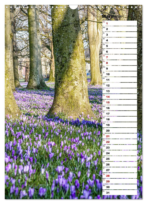 Westküste - Zwischen St. Peter Ording, Büsum und Elbe (CALVENDO Wandkalender 2026)