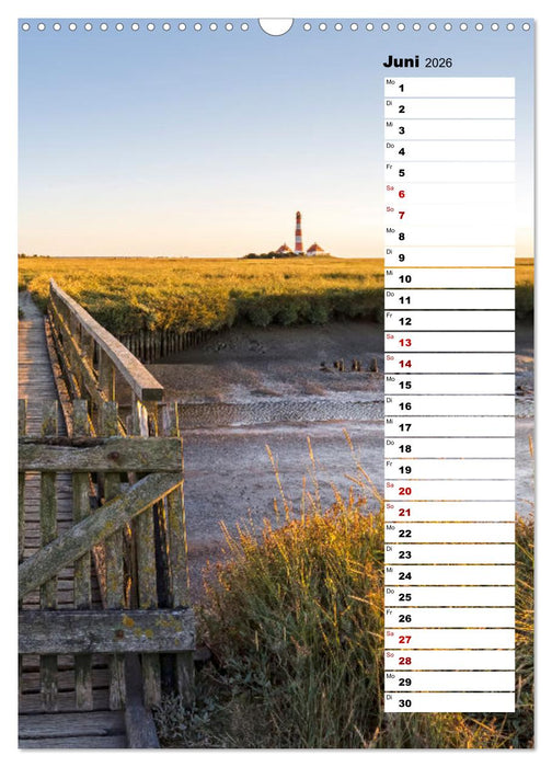 Westküste - Zwischen St. Peter Ording, Büsum und Elbe (CALVENDO Wandkalender 2026)