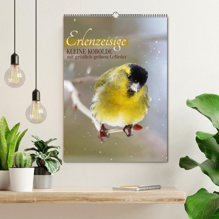 Erlenzeisige, kleine Kobolde (CALVENDO Wandkalender 2026)