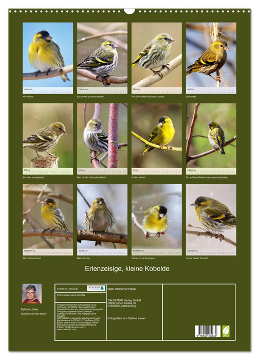 Erlenzeisige, kleine Kobolde (CALVENDO Wandkalender 2026)