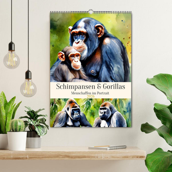Schimpansen & Gorillas (CALVENDO Wandkalender 2026)