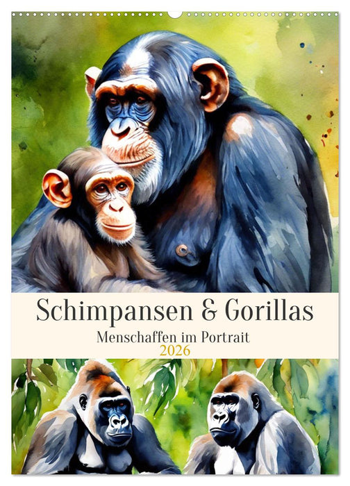 Schimpansen & Gorillas (CALVENDO Wandkalender 2026)