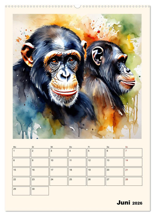 Schimpansen & Gorillas (CALVENDO Wandkalender 2026)