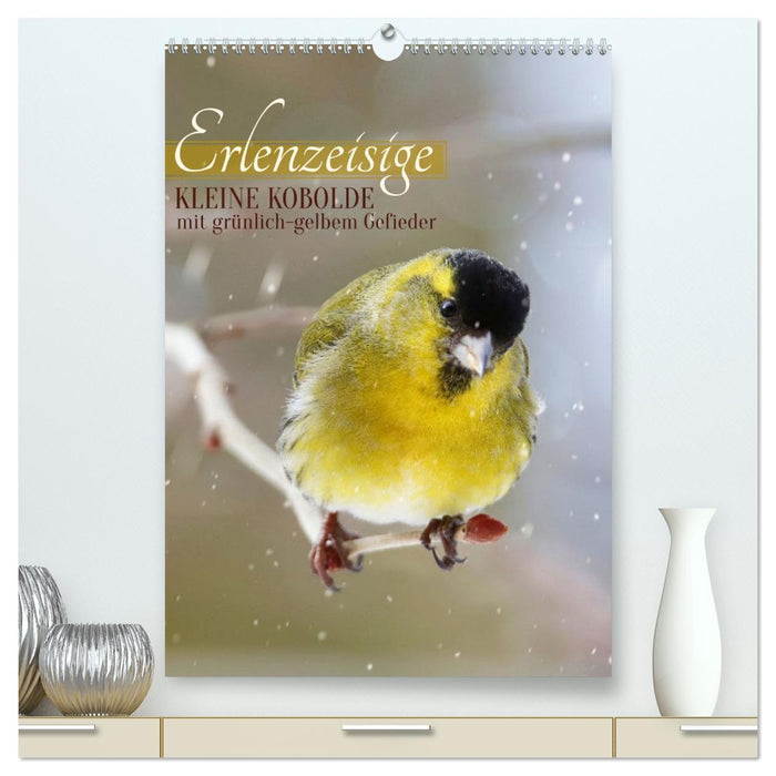 Erlenzeisige, kleine Kobolde (CALVENDO Premium Wandkalender 2026)