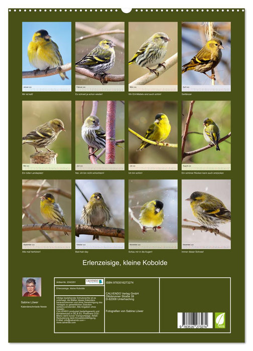 Erlenzeisige, kleine Kobolde (CALVENDO Premium Wandkalender 2026)