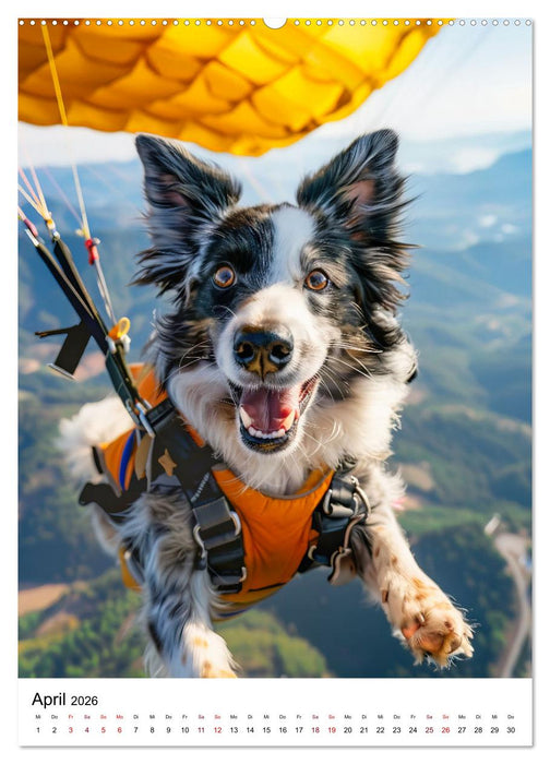 Hunde haben Spaß (CALVENDO Premium Wandkalender 2026)