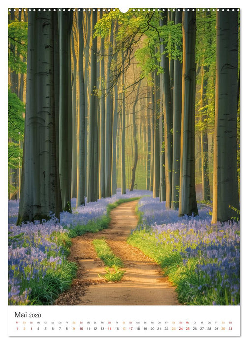 Mystische Pfade (CALVENDO Premium Wandkalender 2026)