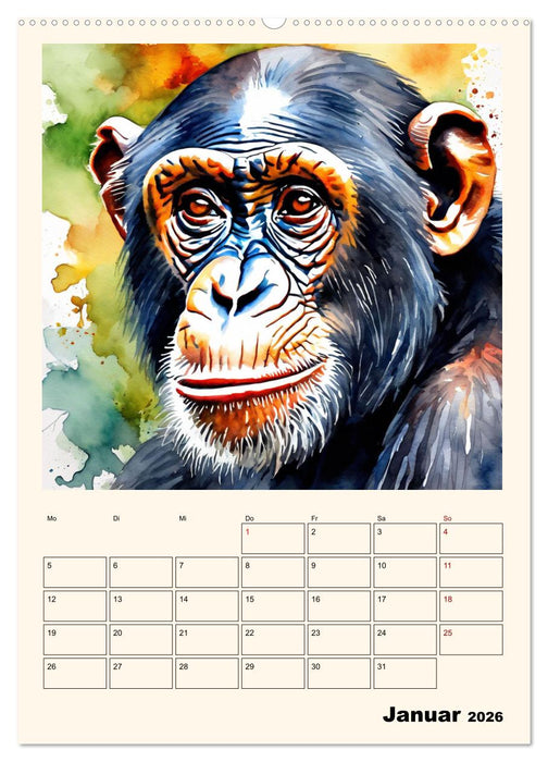 Schimpansen & Gorillas (CALVENDO Premium Wandkalender 2026)