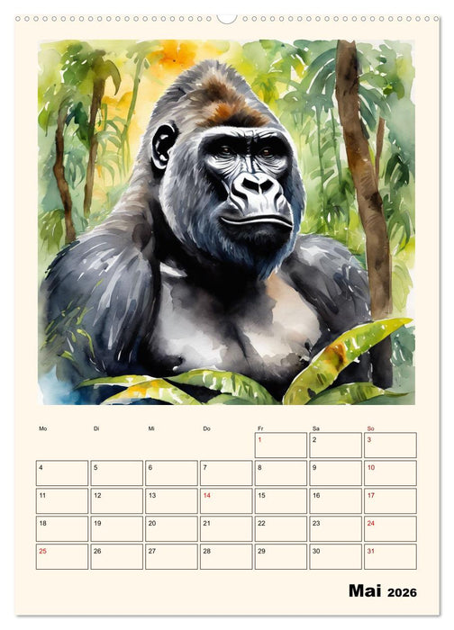 Schimpansen & Gorillas (CALVENDO Premium Wandkalender 2026)