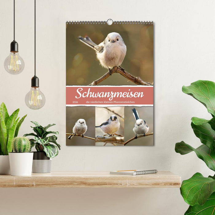 Schwanzmeisen, die niedlichen kleinen Pfannenstielchen (CALVENDO Wandkalender 2026)