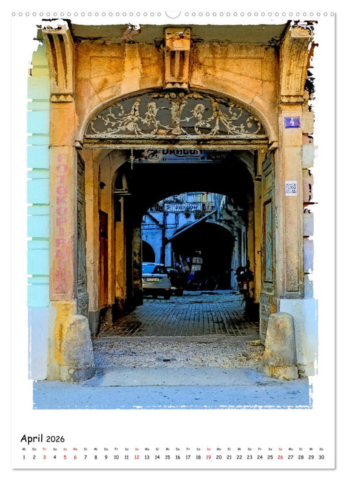 Novi Sad entdecken (CALVENDO Wandkalender 2026)