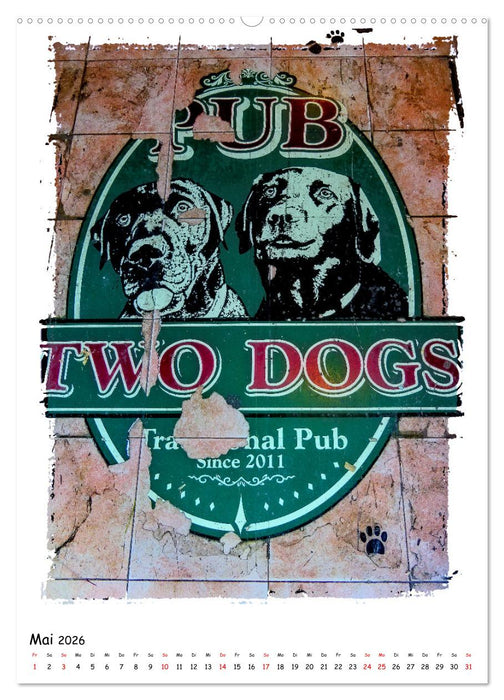 Novi Sad entdecken (CALVENDO Wandkalender 2026)