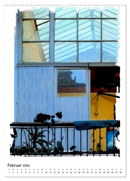 Novi Sad entdecken (CALVENDO Premium Wandkalender 2026)