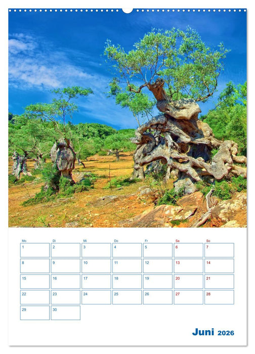 Sóller auf Mallorca – Terminplaner (CALVENDO Wandkalender 2026)