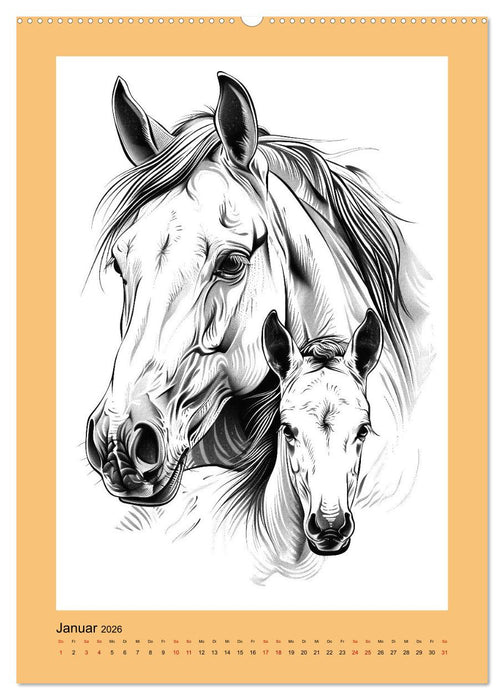 Pferde minimalistisch (CALVENDO Premium Wandkalender 2026)