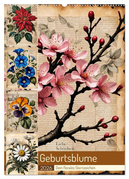 Geburtsblume, dein florales Sternzeichen (CALVENDO Wandkalender 2026)