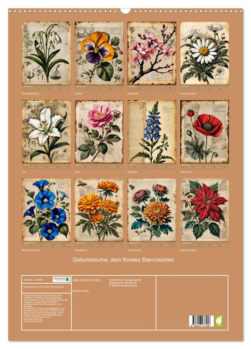 Geburtsblume, dein florales Sternzeichen (CALVENDO Wandkalender 2026)