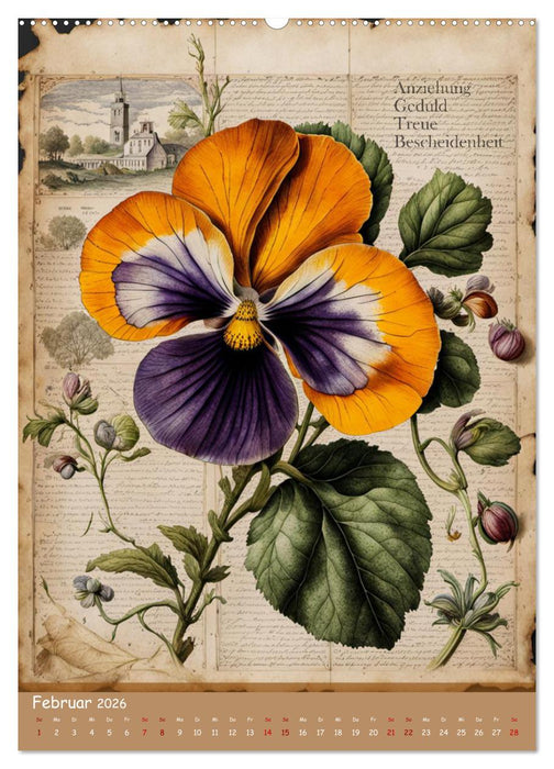 Geburtsblume, dein florales Sternzeichen (CALVENDO Wandkalender 2026)