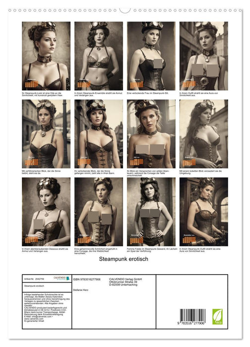 Steampunk erotisch (CALVENDO Premium Wandkalender 2026)