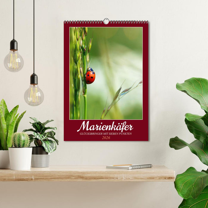 Marienkäfer, Glücksbringer mit sieben Punkten (CALVENDO Wandkalender 2026)