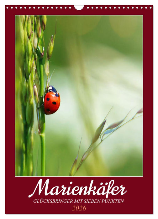 Marienkäfer, Glücksbringer mit sieben Punkten (CALVENDO Wandkalender 2026)