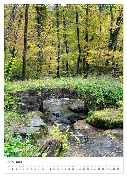 Unser Schurwald (CALVENDO Premium Wandkalender 2026)
