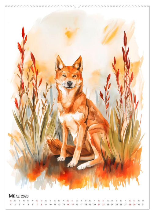 Australiens Tiere - Illustriert in Wasserfarben (CALVENDO Premium Wandkalender 2026)
