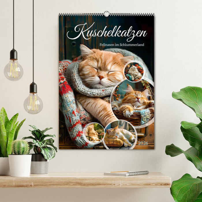Kuschelkatzen - Fellnasen im Schlummerland (CALVENDO Wandkalender 2026)