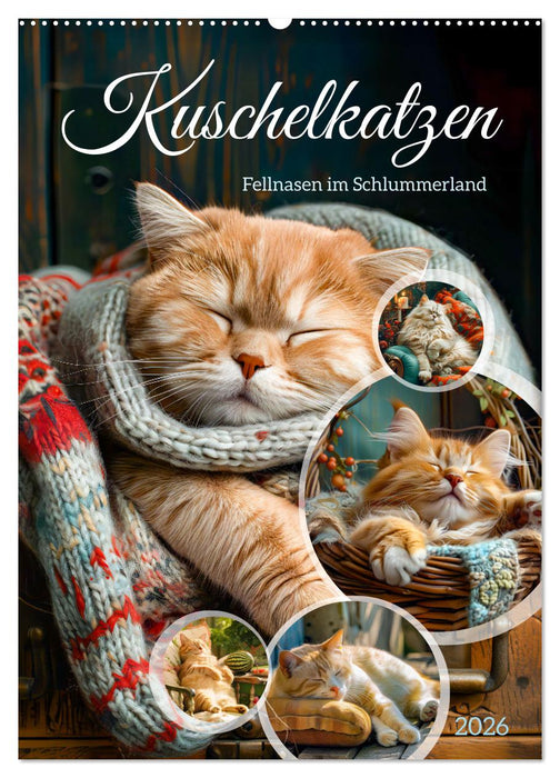 Kuschelkatzen - Fellnasen im Schlummerland (CALVENDO Wandkalender 2026)