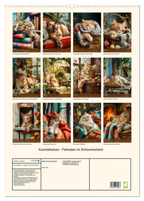 Kuschelkatzen - Fellnasen im Schlummerland (CALVENDO Wandkalender 2026)