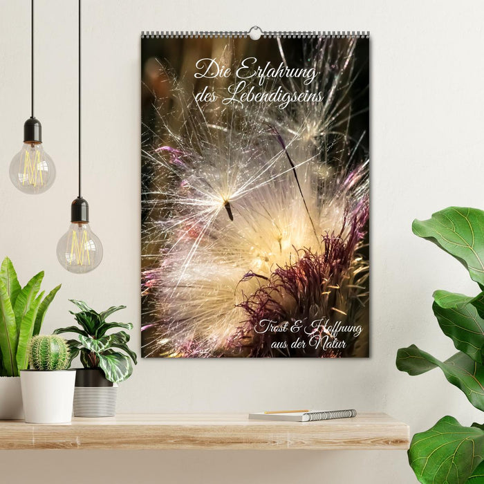 Die Erfahrung des Lebendigseins (CALVENDO Wandkalender 2026)