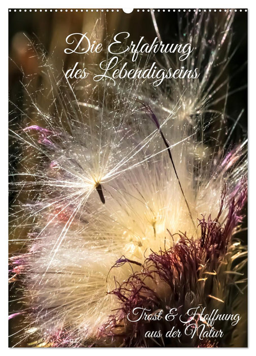 Die Erfahrung des Lebendigseins (CALVENDO Wandkalender 2026)
