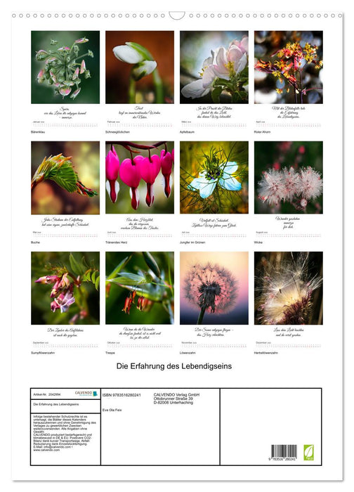 Die Erfahrung des Lebendigseins (CALVENDO Wandkalender 2026)
