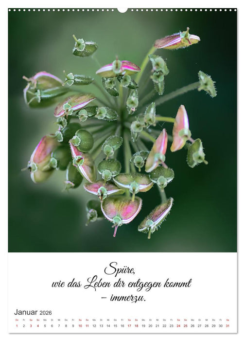 Die Erfahrung des Lebendigseins (CALVENDO Wandkalender 2026)